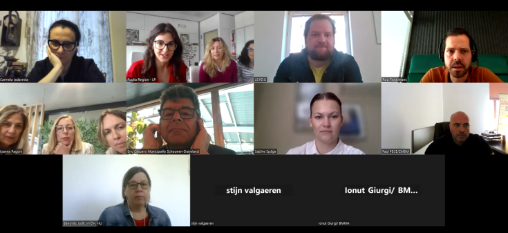 First online meeting of the project