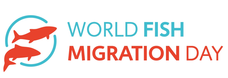Logo Fish Migration Day 2024