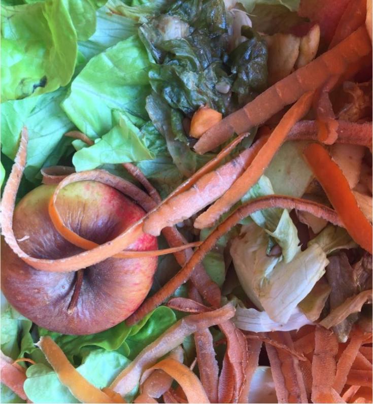 Food scraps Food scraps