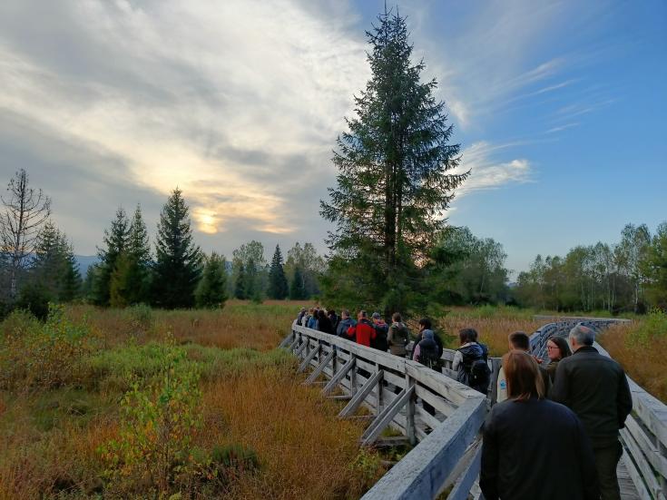 A group of persons on a board walk in a natural area on a cloudy day