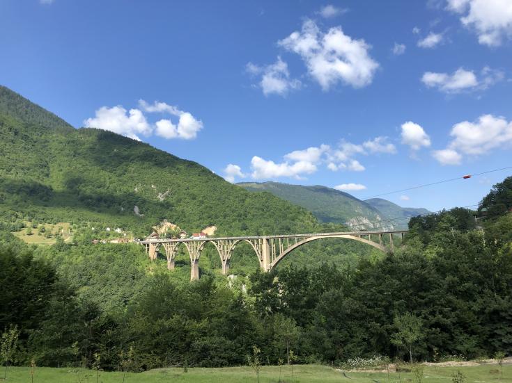 A bridge surrounded by nature