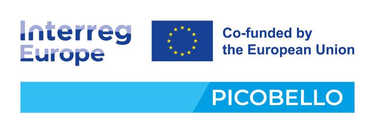 PICOBELLO project logo - INTERREG Europe logo on the left, EU flag with the words ‘Co-financed by the European Union’ on the right, blue stripe at the bottom with the words 'PICOBELLO'.