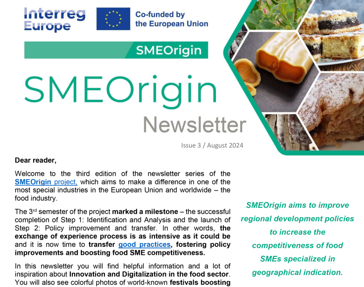 SMEOrigin Newsletter #3