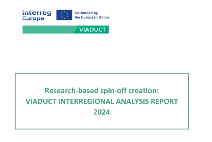 VIADUCT INTERREGIONAL ANALYSIS REPORT 2024