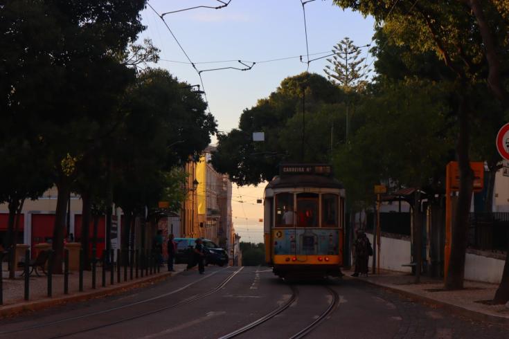 Tram in a street full of trees COPR Isaure Suplisson Tram in a street full of trees COPR Isaure Suplisson