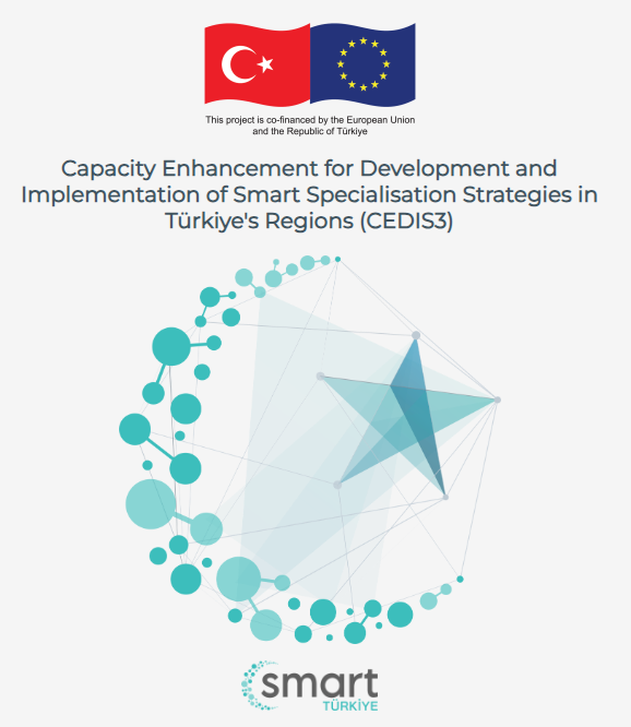 Turkish and EU flag above text on S3 strategy project