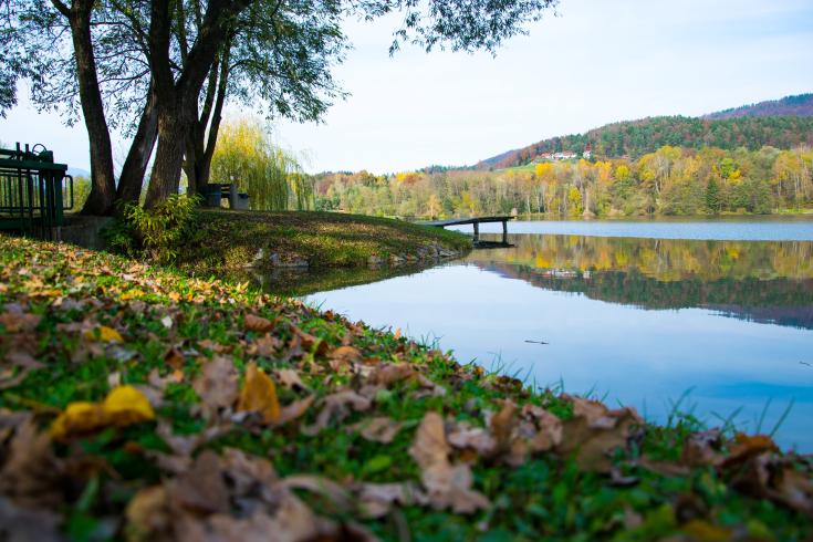 Landscape in Slovenia's Savinja-Šalek region featuring vegetation, a lake and calm skies.