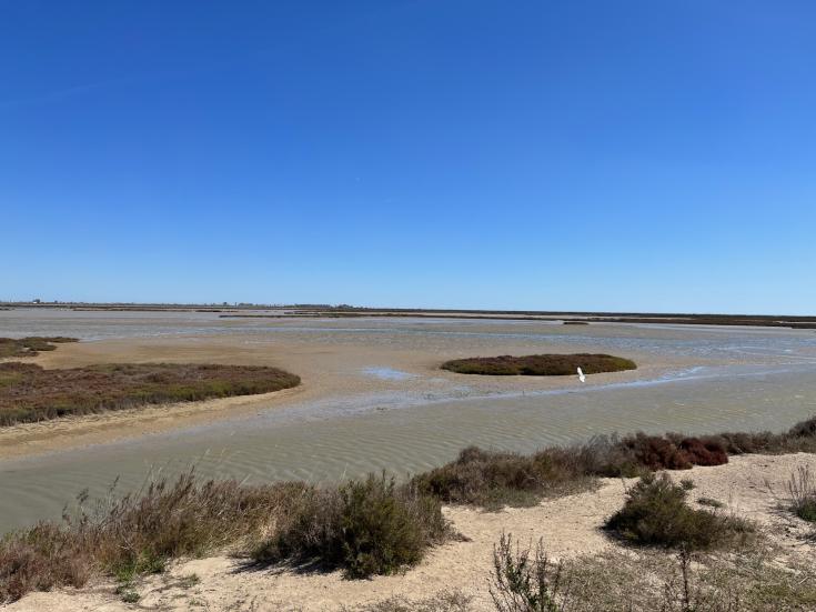 View of coastal area