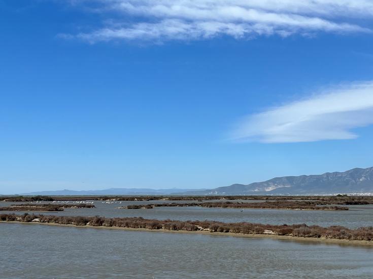 Wetland Wetland