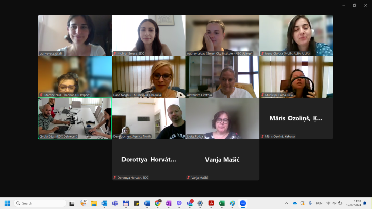 On this picture, you can see the project partners during the online meeting.