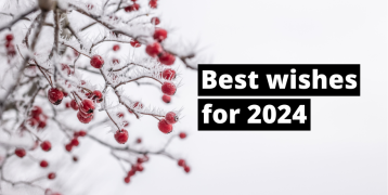 snowy branches with red berries and text saying best wishes for 2024