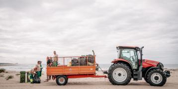 beach cleaning