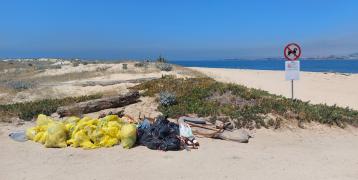 beach cleaning