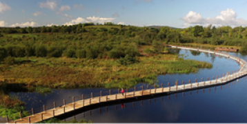 A Floating Boardwalk in County Leitrim