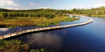 Boardwalk at Acres Lake (1).jpg