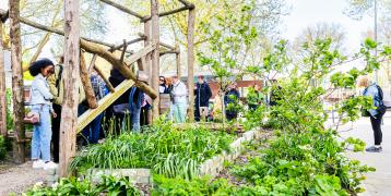 Impression of the Neighbourhood Garden Afrikaanderwijk Rotterdam