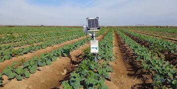 Probe measuring the humidity to detect when soil is saturated and cut the irrigation to avoid the leachate