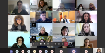 Screenshot of the online meeting.