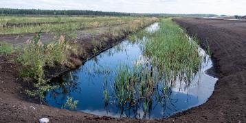 peatland rewetting practice