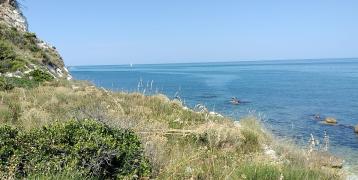 Blue Adriatic Sea on the back and rocky hills growing hay in the front of the image.