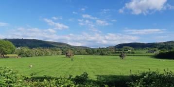 Green Landscape Green Landscape