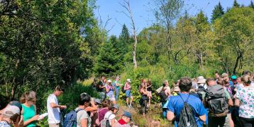 Participants of herbal trip