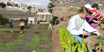 The urban gardens initiative addresses the issue of vacant lots awaiting future development. These temporary agricultural plots are allocated to residents, transforming neglected areas into productive community gardens.