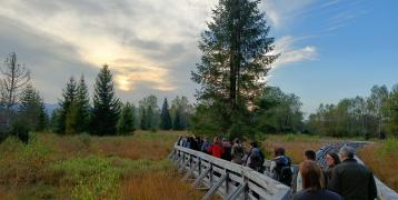 A group of persons on a board walk in a natural area on a cloudy day