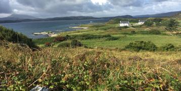 Lush and green irish coast Lush and green irish coast