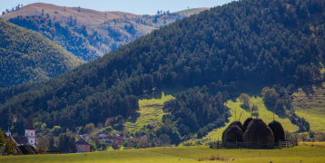 A landscape of the National Park in Rasinari, Romania A green landscape with hills covered by dense forestry and a herder with cattle in front
