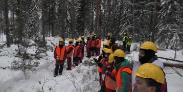 Big group of people in the snowy coniferous forest with red overalls and yellow helmets.