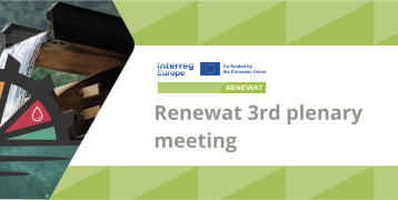 RENEWAT Online Plenary Meeting icon