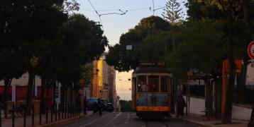 Tram in a street full of trees COPR Isaure Suplisson Tram in a street full of trees COPR Isaure Suplisson