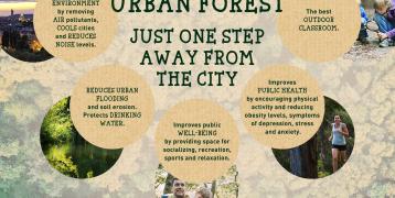 Benefits of urban forest