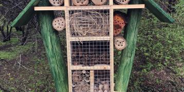 The newest insect hotel installed by the Municipality of Hegyvidék