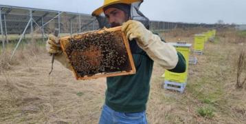 Beekeeper at the beehive in front of the photovoltaic farm