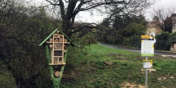 Insect hotel installed by the Green Office in the XIIth District