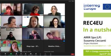 Online meeting of 5 projects