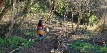 Managing and improving green infrastructure at the Coosebean Valley for the community – lessons from the Covid 19 pandemic Girl walking a dog down a path with dead hedges either side
