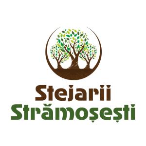 Profile picture for user gal.stejariistramosesti@gmail.com