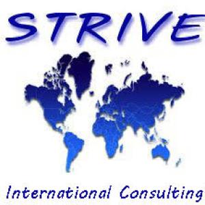 Profile picture for user antonio@striveinternational.eu